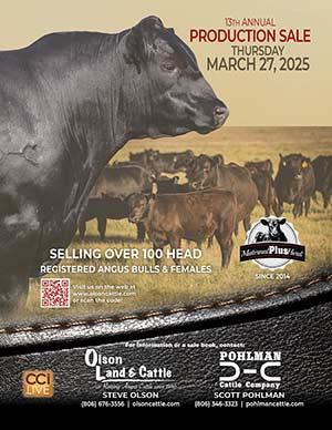 13th Annual Bull & Female Sale